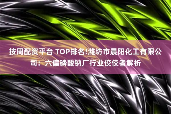 按周配资平台 TOP排名!潍坊市晨阳化工有限公司：六偏磷酸钠厂行业佼佼者解析