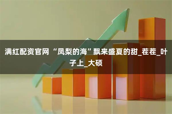 满红配资官网 “凤梨的海”飘来盛夏的甜_茬茬_叶子上_大硕
