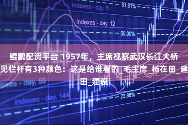 鲲鹏配资平台 1957年，主席视察武汉长江大桥，见栏杆有3种颜色：这是给谁看的_毛主席_杨在田_建设